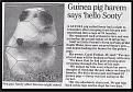 Click image for larger version

Name:	copy of sooty.jpg
Views:	292
Size:	59.9 KB
ID:	8870784