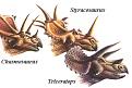 Click image for larger version

Name:	dinos.jpg
Views:	357
Size:	84.1 KB
ID:	8871189