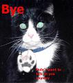 Click image for larger version

Name:	didntwanttotalktoyou.jpg
Views:	158
Size:	28.2 KB
ID:	8871444