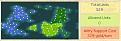 Click image for larger version

Name:	map_dday-2__1745.jpg
Views:	115
Size:	18.2 KB
ID:	8873110