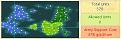 Click image for larger version

Name:	map_dday+1_1754.jpg
Views:	118
Size:	17.9 KB
ID:	8873113