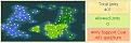 Click image for larger version

Name:	map_dday+4_1760.jpg
Views:	110
Size:	17.7 KB
ID:	8873120