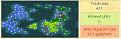 Click image for larger version

Name:	map_dday+8_1768.jpg
Views:	128
Size:	17.6 KB
ID:	8873125