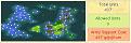 Click image for larger version

Name:	map_dday+9_1770.jpg
Views:	125
Size:	18.1 KB
ID:	8873126