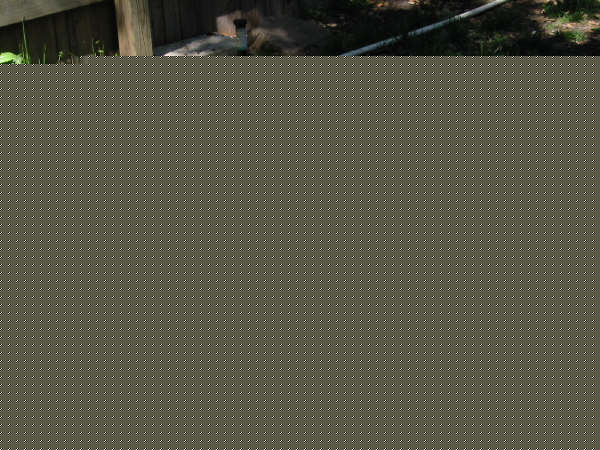 Click image for larger version

Name:	princess.jpg
Views:	206
Size:	73.6 KB
ID:	8873464