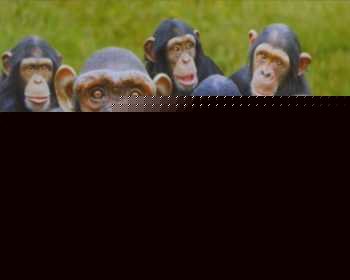 Click image for larger version

Name:	eu-commision.jpg
Views:	1761
Size:	9.3 KB
ID:	8873560