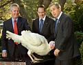 Click image for larger version

Name:	turkeys.jpg
Views:	125
Size:	20.2 KB
ID:	8873717