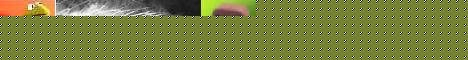 Click image for larger version

Name:	banner11.jpg
Views:	111
Size:	9.8 KB
ID:	8874342