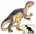 Click image for larger version

Name:	alosaurus.jpg
Views:	187
Size:	41.7 KB
ID:	8879113