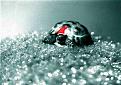 Click image for larger version

Name:	pikkuhemmo.jpg
Views:	2610
Size:	64.9 KB
ID:	8879186
