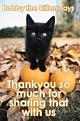 Click image for larger version

Name:	kitten.jpg
Views:	98
Size:	15.4 KB
ID:	8879472