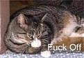 Click image for larger version

Name:	catoff.jpg
Views:	213
Size:	8.7 KB
ID:	8879610