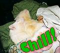 Click image for larger version

Name:	chill.jpg
Views:	127
Size:	12.6 KB
ID:	8879637