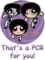 Click image for larger version

Name:	ppg_pcr2.jpg
Views:	915
Size:	22.5 KB
ID:	8880187