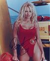 Click image for larger version

Name:	pamela-anderson-auto.jpg
Views:	56
Size:	10.0 KB
ID:	8880376