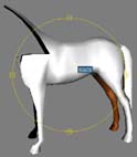 Click image for larger version

Name:	horsey2.jpg
Views:	175
Size:	6.2 KB
ID:	8880636
