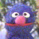 Click image for larger version

Name:	coco.gif
Views:	46
Size:	4.7 KB
ID:	8880735