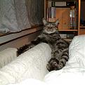 Click image for larger version

Name:	987654321 copy.jpg
Views:	706
Size:	58.8 KB
ID:	8881846