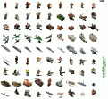 Click image for larger version

Name:	tot.gif
Views:	264
Size:	20.6 KB
ID:	8881960