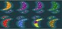 Click image for larger version

Name:	map.jpg
Views:	214
Size:	14.7 KB
ID:	8882085