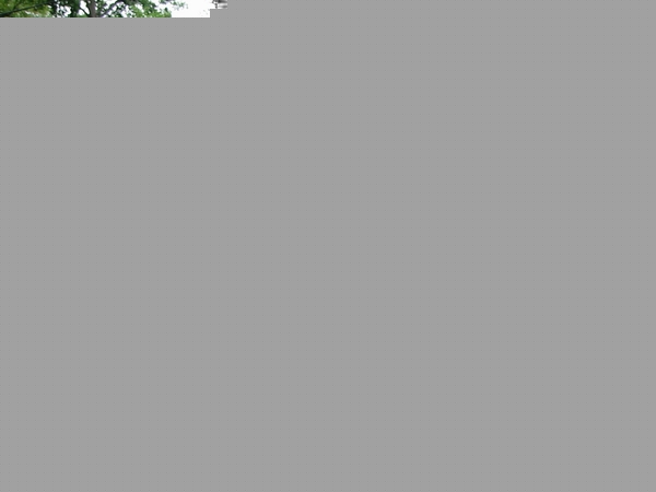 Click image for larger version

Name:	georgetown 01.jpg
Views:	110
Size:	303.4 KB
ID:	8882088