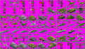 Click image for larger version

Name:	wwiiunits.gif
Views:	528
Size:	53.4 KB
ID:	8882116