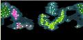 Click image for larger version

Name:	1550 postcontact worldmap.jpg
Views:	488
Size:	15.0 KB
ID:	8882964