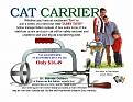 Click image for larger version

Name:	cat.jpg
Views:	184
Size:	139.1 KB
ID:	8887110