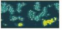 Click image for larger version

Name:	winning minimap.jpg
Views:	133
Size:	5.3 KB
ID:	8888206