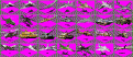 Click image for larger version

Name:	units1.gif
Views:	1225
Size:	26.3 KB
ID:	8888532