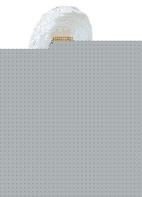 Click image for larger version

Name:	miss.jpg
Views:	131
Size:	16.6 KB
ID:	8895468