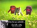 Click image for larger version

Name:	kitten.jpg
Views:	272
Size:	42.8 KB
ID:	8895968