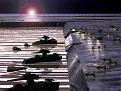 Click image for larger version

Name:	core army.jpg
Views:	126
Size:	166.5 KB
ID:	8896360