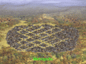 Click image for larger version

Name:	g-all.gif
Views:	137
Size:	279.5 KB
ID:	8896934