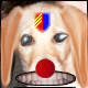 Click image for larger version

Name:	libi.gif
Views:	178
Size:	6.7 KB
ID:	8897055