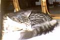Click image for larger version

Name:	bishopsleeps.jpg
Views:	181
Size:	12.2 KB
ID:	8898828
