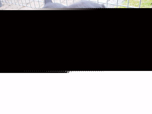 Click image for larger version

Name:	dsc00014.jpg
Views:	121
Size:	61.1 KB
ID:	8898856
