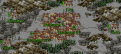 Click image for larger version

Name:	night.gif
Views:	140
Size:	62.1 KB
ID:	8899757