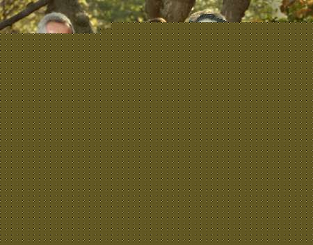 Click image for larger version

Name:	skanybush.jpg
Views:	205
Size:	29.2 KB
ID:	8903470
