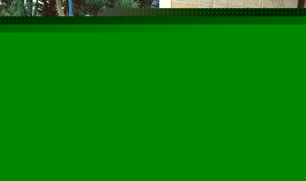 Click image for larger version

Name:	poly-taurus-and-gang.jpg
Views:	111
Size:	48.0 KB
ID:	8903627
