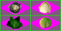 Click image for larger version

Name:	stleo_cabbage.gif
Views:	774
Size:	3.3 KB
ID:	8905024