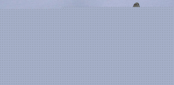 Click image for larger version

Name:	m16a1.jpg
Views:	219
Size:	49.9 KB
ID:	8905726