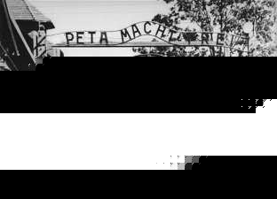 Click image for larger version

Name:	petamacht.jpg
Views:	176
Size:	15.1 KB
ID:	8906815