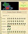Click image for larger version

Name:	gal frenzy.jpg
Views:	211
Size:	66.1 KB
ID:	8906818