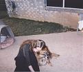 Click image for larger version

Name:	crystalginger_0001.jpg
Views:	428
Size:	51.2 KB
ID:	8911742