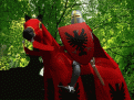 Click image for larger version

Name:	knight256.gif
Views:	119
Size:	215.7 KB
ID:	8911756