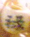 Click image for larger version

Name:	picture 7.jpg
Views:	101
Size:	25.4 KB
ID:	8912098