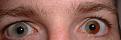 Click image for larger version

Name:	eyes.jpg
Views:	111
Size:	20.8 KB
ID:	8912200