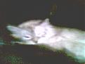 Click image for larger version

Name:	picture 11.jpg
Views:	119
Size:	128.9 KB
ID:	8912262
