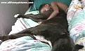 Click image for larger version

Name:	dogbed.jpg
Views:	180
Size:	12.4 KB
ID:	8912284